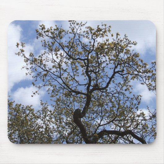 ザオーク専攻の材 マウスパッド (正面)