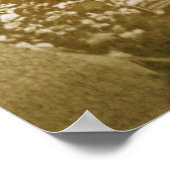 ザオーチスアーチ ポスター (角)