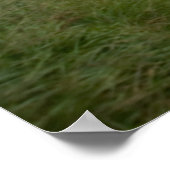 ザオールドケンマーレロード ポスター (角)