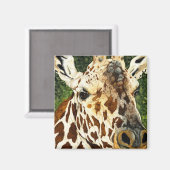 ザオールドバチェラーキリン マグネット (正面/裏面)