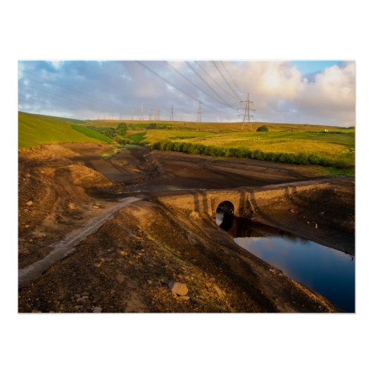 ザオールドパックホースブリッジオブバイティンズ ポスター (正面)