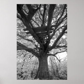 ザオールドフォート ポスター