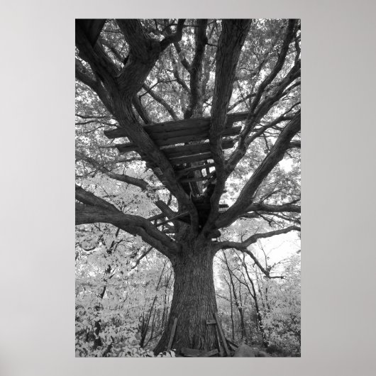 ザオールドフォート ポスター (正面)