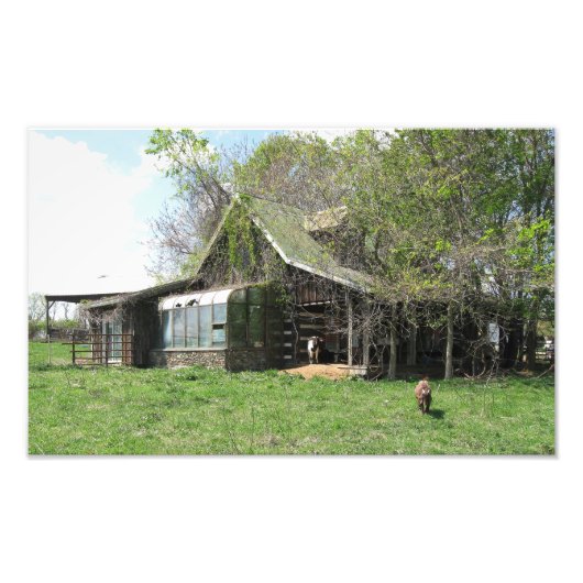 ザオールドヤートホーム フォトプリント            (正面)