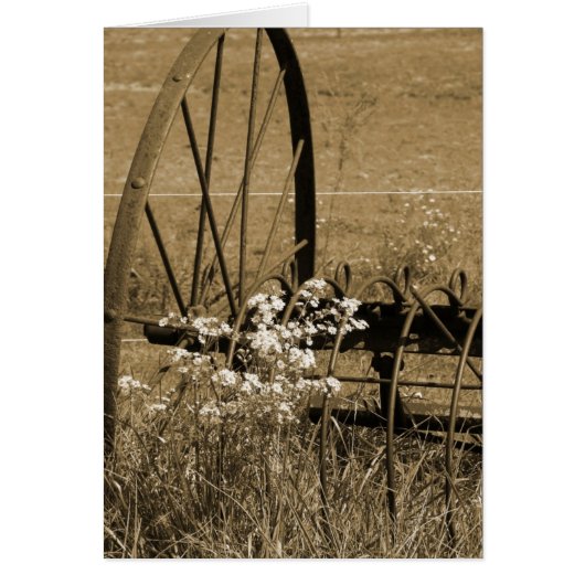 ザオールド日 (正面)