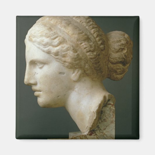 ザカウフマンの頭ローマ(大理石) マグネット (正面)