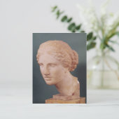 ザカウフマンの頭、アフロディーテの頭 ポストカード (スタンド正面)