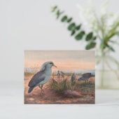 ザカグバイジョセフウルフ ポストカード (スタンド正面)