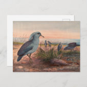 ザカグバイジョセフウルフ ポストカード (正面/裏面)