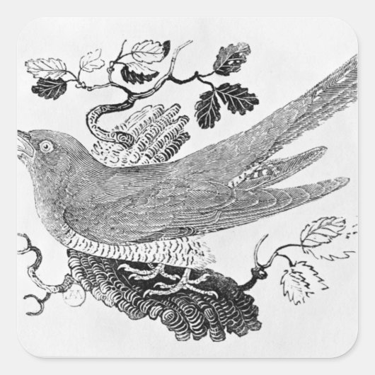 ザカッコウ スクエアシール (正面)