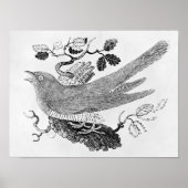 ザカッコウ ポスター (正面)