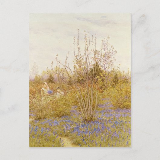 ザカッコウ ポストカード (正面)