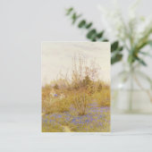 ザカッコウ ポストカード (スタンド正面)