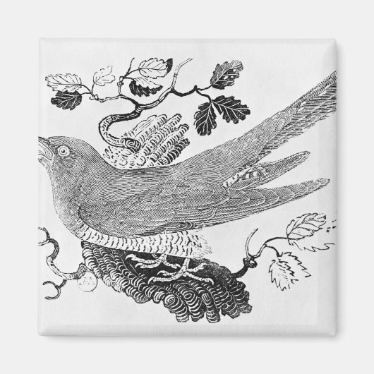 ザカッコウ マグネット (正面)