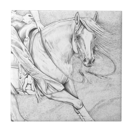 ザカッター タイル (正面)