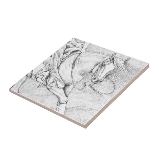 ザカッター タイル (側面)