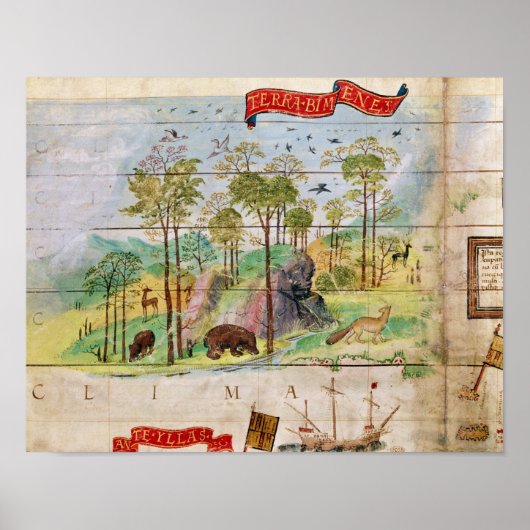 ザカナディアン・フォレスト ポスター (正面)