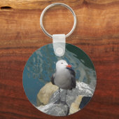 ザカモメのラリー・デイKenゲージの鳥の写真 キーホルダー (正面)