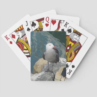 ザカモメのラリー・デイKenゲージの鳥の写真 トランプ
