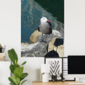 ザカモメのラリー・デイKenゲージの鳥の写真 ポスター (ホームオフィス)
