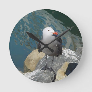 ザカモメのラリー・デイKenゲージの鳥の写真 ラウンド壁時計