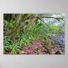 ザカララウ・トレイル，ナパリー・コースト，カウアイ，ハワイ ポスター