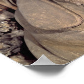 ザカリアス ポスター (角)