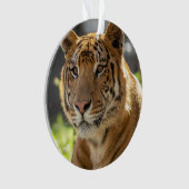 ザカリア –  オーナメント (正面)