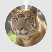 ザカリア –  オーナメント (裏面)