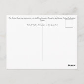 ザカルドンカナルコンサル（犬）スタッフォード ポストカード (裏面)