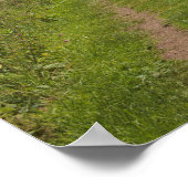 ザカルドンカナルチェドトン（犬）スタッフォード ポスター (角)