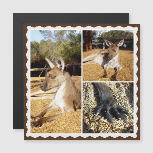 ザカンガルー写真コラージュ、磁気カード (正面/裏面)