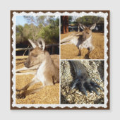 ザカンガルー写真コラージュ、磁気カード (正面)