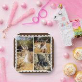 ザカンガルー写真コラージュ、紙プレート ペーパープレート (パーティー)