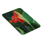 ザカンナ – マグネット (右側)