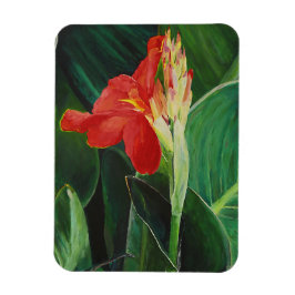 ザカンナ – マグネット