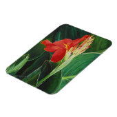 ザカンナ – マグネット (左側)