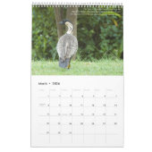 ザガーデンアイルオブカウアイ古代パラダイス カレンダー (3月 2026)