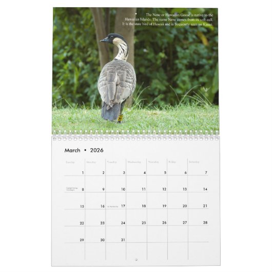 ザガーデンアイルオブカウアイ古代パラダイス カレンダー (3月 2026)