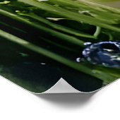 ザガーデンバイク ポスター (角)