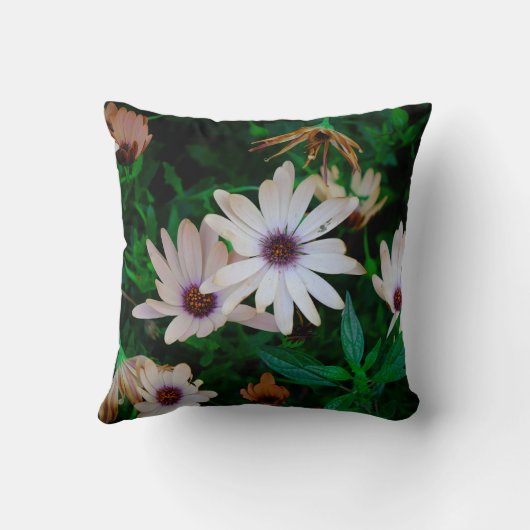 ザガーデン クッション (裏面)