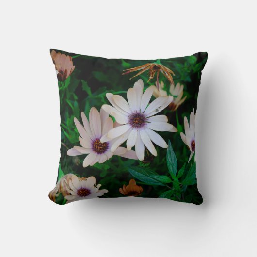 ザガーデン クッション (正面)