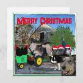 ザキッチンガーデンフルキャスト シーズンカード (正面/裏面)