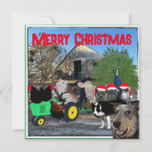 ザキッチンガーデンフルキャスト