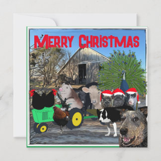 ザキッチンガーデンフルキャスト シーズンカード