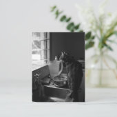 ザキッチンシンクポストカード ポストカード (スタンド正面)