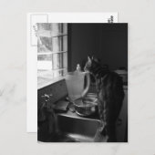 ザキッチンシンクポストカード ポストカード (正面/裏面)