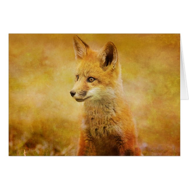 ザキツネイン・ザ・ウッド (正面横)