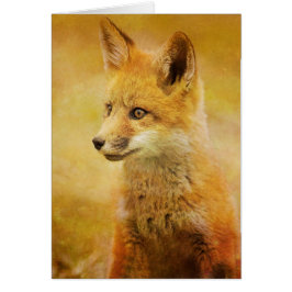 ザキツネイン・ザ・ウッド