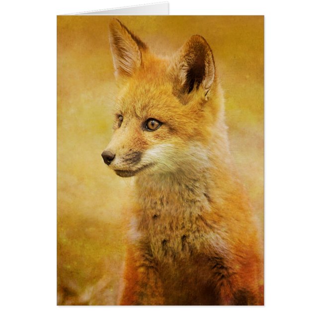 ザキツネイン・ザ・ウッド (正面)